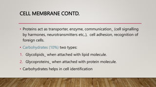 CELL MEMBRANE CONTD.
• Proteins act as transporter, enzyme, communication_ (cell signalling
by harmones, neurotransmitters etc,.), cell adhesion, recognition of
foreign cells.
• Carbohydrates (10%) two types:
1. Glycolipids_ when attached with lipid molecule.
2. Glycoproteins_ when attached with protein molecule.
• Carbohydrates helps in cell identification
 