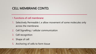 CELL MEMBRANE CONTD.
• Functions of cell membrane:
1. Selectively Permeable I, e allow movement of some molecules only
across the membrane.
2. Cell Signalling / cellular communication
3. Cell recognition
4. Shape of cell
5. Anchoring of cells to form tissue
 