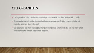 CELL ORGANELLES
• cell organelle is a tiny cellular structure that performs specific functions within a cell. OR
• An organelle is a subcellular structure that has one or more specific jobs to perform in the cell,
much like an organ does in the body
• Cell organelles are often enclosed by their own membranes, which divide the cell into many small
compartments for different biochemical reactions.
 