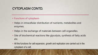 CYTOPLASM CONTD.
• Functions of cytoplasm
• Helps in intracellular distribution of nutrients, metabolites and
enzymes.
• Helps in the exchange of materials between cell organelles.
• Site of biochemical reactions like glycolysis, synthesis of fatty acids
etc.
• All the functions for cell expansion, growth and replication are carried out in the
cytoplasm of a cell.
 