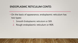 ENDOPLASMIC RETICULUM CONTD.
• On the basis of appearance, endoplasmic reticulum has
two types:
1. Smooth Endoplasmic reticulum or SER.
2. Rough endoplasmic reticulum or RER.
 
