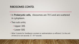 RIBOSOMES CONTD.
• In Prokeryotic cells, ribosomes are 70 S and are scattered
in cytoplasm.
• Two sub units;
• Upper 30S
• Lower 50S
• Wher S stands for Svedberg‘s constant or sedimentation co-efficient. S is the unit
of time (it is not second). S = 10-13 seconds
 