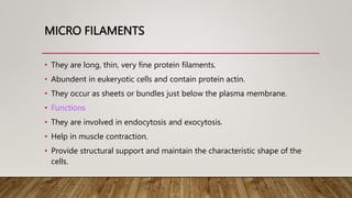 MICRO FILAMENTS
• They are long, thin, very fine protein filaments.
• Abundent in eukeryotic cells and contain protein actin.
• They occur as sheets or bundles just below the plasma membrane.
• Functions
• They are involved in endocytosis and exocytosis.
• Help in muscle contraction.
• Provide structural support and maintain the characteristic shape of the
cells.
 