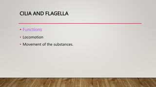CILIA AND FLAGELLA
• Functions
• Locomotion
• Movement of the substances.
 