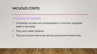 VACUOLES CONTD.
• Functions of vacuoles
1. Contractile vacuoles are osmoregulatory in function (regulates
water in the body)
2. They store waste products.
3. They act as food reserve by storing sucrose and mineral salts.
 
