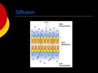 Cell structure and function (Miller and Levine Biology chapter 7) | PPT