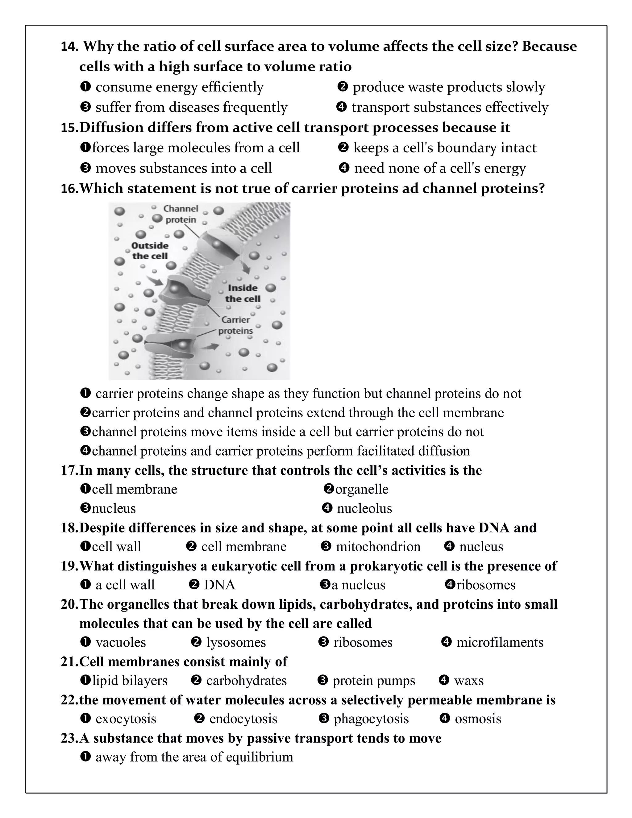 cell-structure-and-function-re-pdf