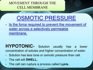 MOVEMENT THROUGH THE
CELL MEMBRANE
OSMOTIC PRESSURE
- Is the force required to prevent the movement of
water across a selectively permeable
membrane.
HYPOTONIC- Solution usually has a lower
concentration of solutes and higher concentration of water.
- Solution has less tone or osmotic pressure than cell.
- The cell will SWELL.
- The cell can rupture a process called Lysis.
 