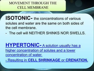 MOVEMENT THROUGH THE
CELL MEMBRANE
ISOTONIC- the concentrations of various
solutes and water are the same on both sides of
the cell membrane.
- The cell will NEITHER SHINKS NOR SWELLS.
HYPERTONIC- A solution usually has a
higher concentration of solutes and a lower
concentration of water.
- Resulting in CELL SHRINKAGE or CRENATION.
 