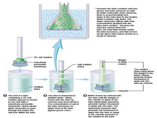 MOVEMENT THROUGH THE
CELL MEMBRANE
 