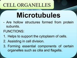 CELL ORGANELLES
Microtubules
- Are hollow structures formed from protein
subunits.
FUNCTIONS:
1. Helps to support the cytoplasm of cells.
2. Assisting in cell division.
3. Forming essential components of certain
organelles such as cilia and flagella.
 