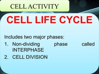 CELL ACTIVITY
CELL LIFE CYCLE
Includes two major phases:
1. Non-dividing phase called
INTERPHASE
2. CELL DIVISION
 