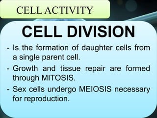 CELL ACTIVITY
CELL DIVISION
- Is the formation of daughter cells from
a single parent cell.
- Growth and tissue repair are formed
through MITOSIS.
- Sex cells undergo MEIOSIS necessary
for reproduction.
 