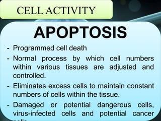 CELL ACTIVITY
APOPTOSIS
- Programmed cell death
- Normal process by which cell numbers
within various tissues are adjusted and
controlled.
- Eliminates excess cells to maintain constant
numbers of cells within the tissue.
- Damaged or potential dangerous cells,
virus-infected cells and potential cancer
 