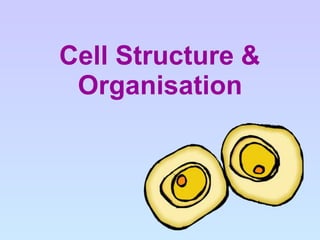Cell Structure &
Organisation
 