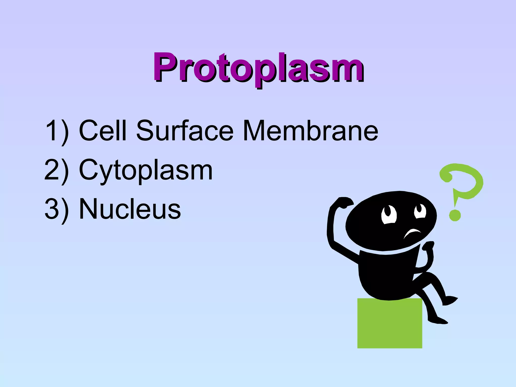 Protoplasm Cell Surface Membrane Cytoplasm Nucleus 