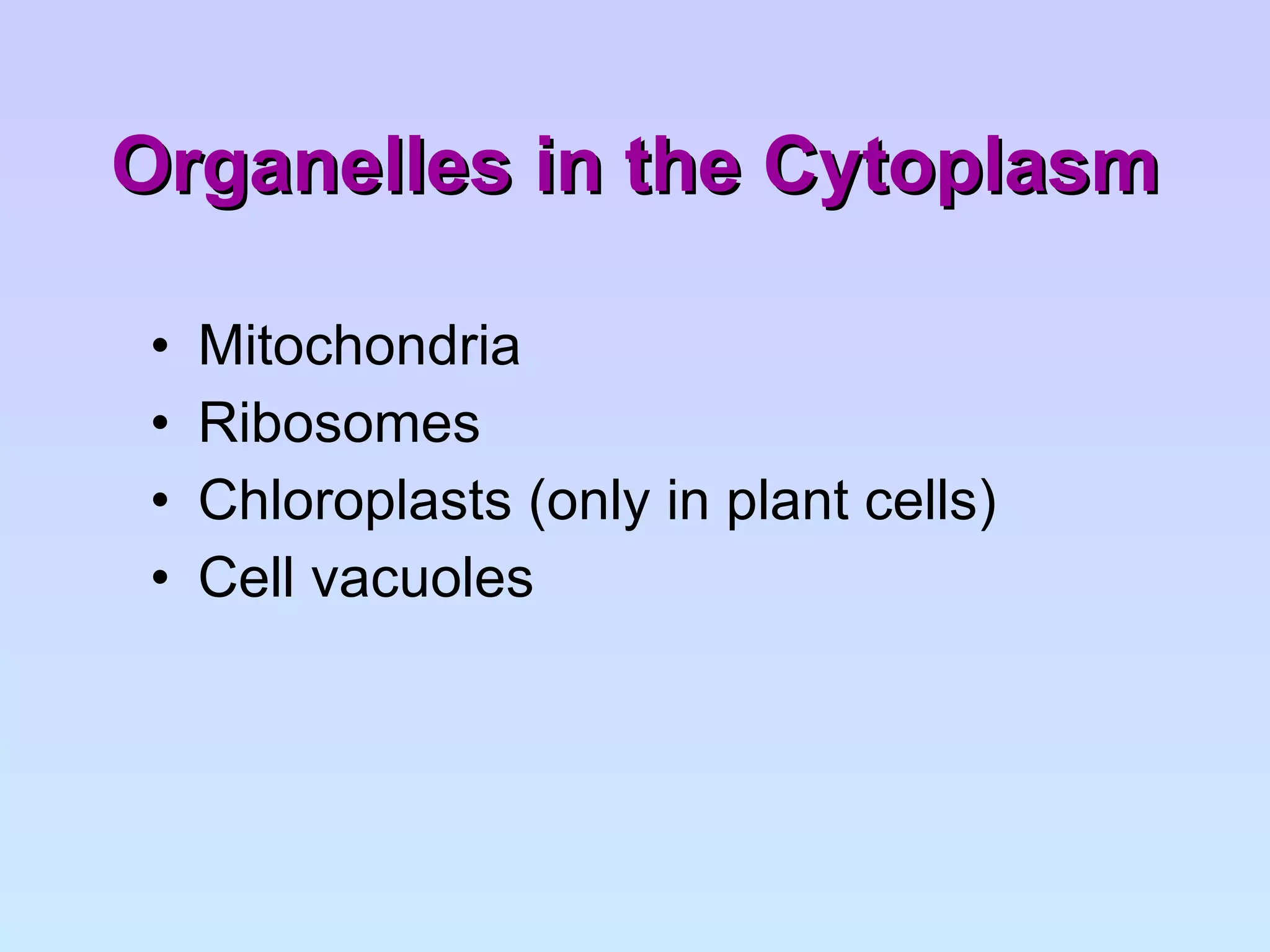 Organelles in the Cytoplasm Mitochondria Ribosomes Chloroplasts (only in plant cells) Cell vacuoles 