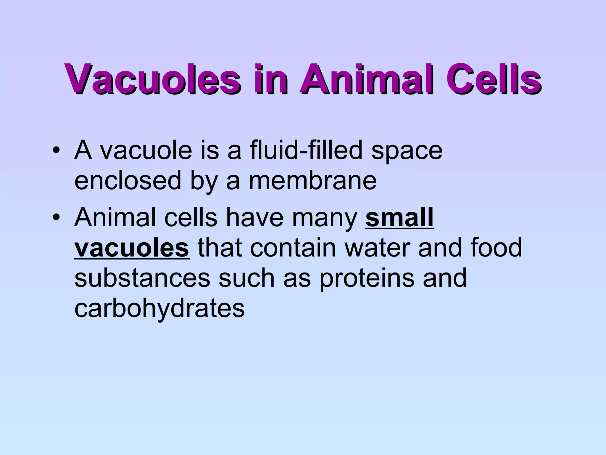 Vacuoles in Animal Cells A vacuole is a fluid-filled space enclosed by a membrane Animal cells have many  small vacuoles  that contain water and food substances such as proteins and carbohydrates 
