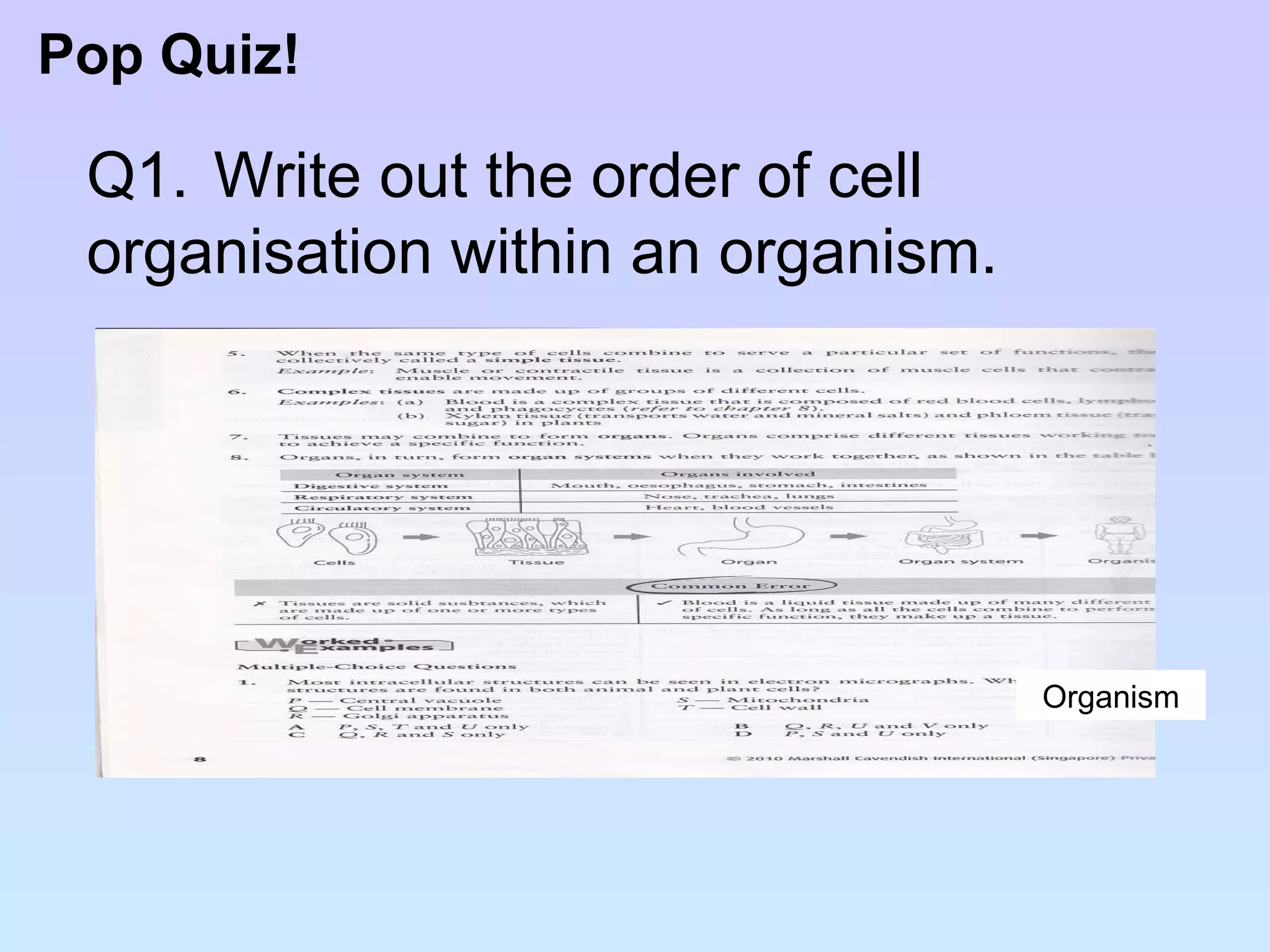 Pop Quiz! Q1.  Write out the order of cell  organisation within an organism. Organism 
