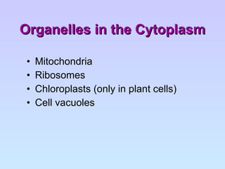 Organelles in the Cytoplasm Mitochondria Ribosomes Chloroplasts (only in plant cells) Cell vacuoles 