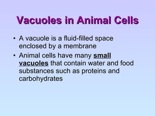 Vacuoles in Animal Cells A vacuole is a fluid-filled space enclosed by a membrane Animal cells have many  small vacuoles  that contain water and food substances such as proteins and carbohydrates 