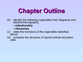 Chapter Outline (b)  identify the following organelles from diagrams and  electronmicrographs: •  mitochondria •  ribosomes (c)  state the functions of the organelles identified  above (d)  compare the structure of typical animal and plant  cells 