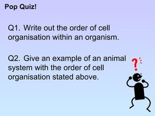 Pop Quiz! Q1.  Write out the order of cell  organisation within an organism. Q2. Give an example of an animal  system with the order of cell  organisation stated above. 