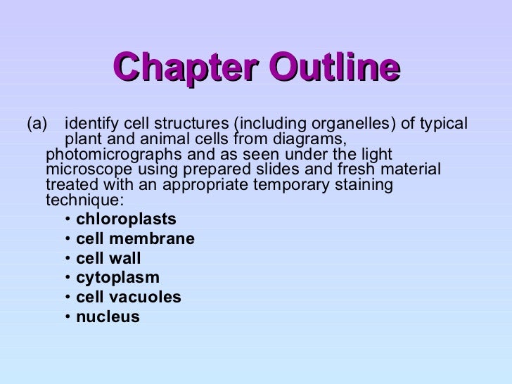 Cell Structure And Organisation