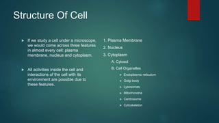 Structure Of Cell
 If we study a cell under a microscope,
we would come across three features
in almost every cell: plasma
membrane, nucleus and cytoplasm.
 All activities inside the cell and
interactions of the cell with its
environment are possible due to
these features.
1. Plasma Membrane
2. Nucleus
3. Cytoplasm
A. Cytosol
B. Cell Organelles
 Endoplasmic reticulum
 Golgi body
 Lysosomes
 Mitochondria
 Centrosome
 Cytoskeleton
 