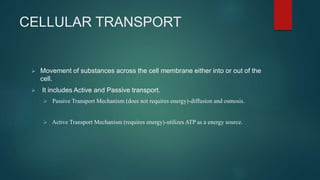 CELLULAR TRANSPORT
 Movement of substances across the cell membrane either into or out of the
cell.
 It includes Active and Passive transport.
 Passive Transport Mechanism (does not requires energy)-diffusion and osmosis.
 Active Transport Mechanism (requires energy)-utilizes ATP as a energy source.
 