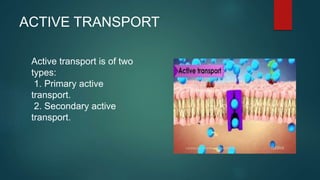 ACTIVE TRANSPORT
Active transport is of two
types:
1. Primary active
transport.
2. Secondary active
transport.
 