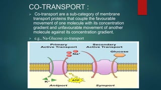 CO-TRANSPORT :
 Co-transport are a sub-category of membrane
transport proteins that couple the favourable
movement of one molecule with its concentration
gradient and unfavourable movement of another
molecule against its concentration gradient.
 e.g., Na-Glucose co-transport
 