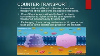 COUNTER-TRANSPORT :
 It means that two different molecules or ions are
transported at the same time but opposite directions.
 One of the species is allowed to flow from lower
concentration to higher, while the other species is
transported simultaneously by other side.
 Exchanging of ions during mechanism of Hcl production
takes place in the parietal cells present in the stomach
 