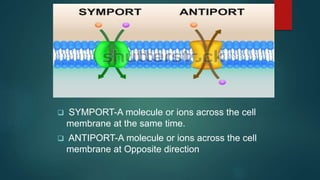  SYMPORT-A molecule or ions across the cell
membrane at the same time.
 ANTIPORT-A molecule or ions across the cell
membrane at Opposite direction
 