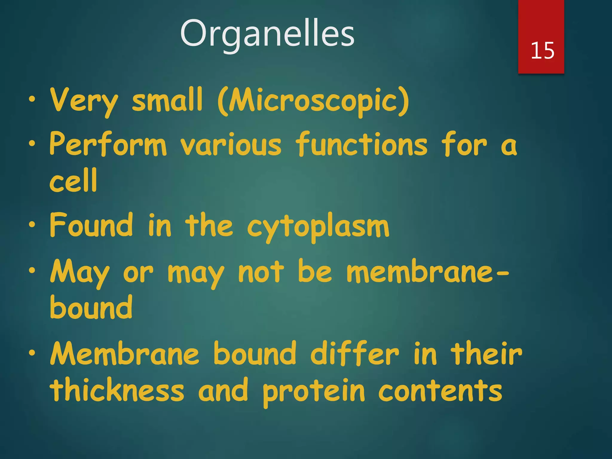 Organelles 15
• Very small (Microscopic)
• Perform various functions for a
cell
• Found in the cytoplasm
• May or may not be membrane-
bound
• Membrane bound differ in their
thickness and protein contents
 