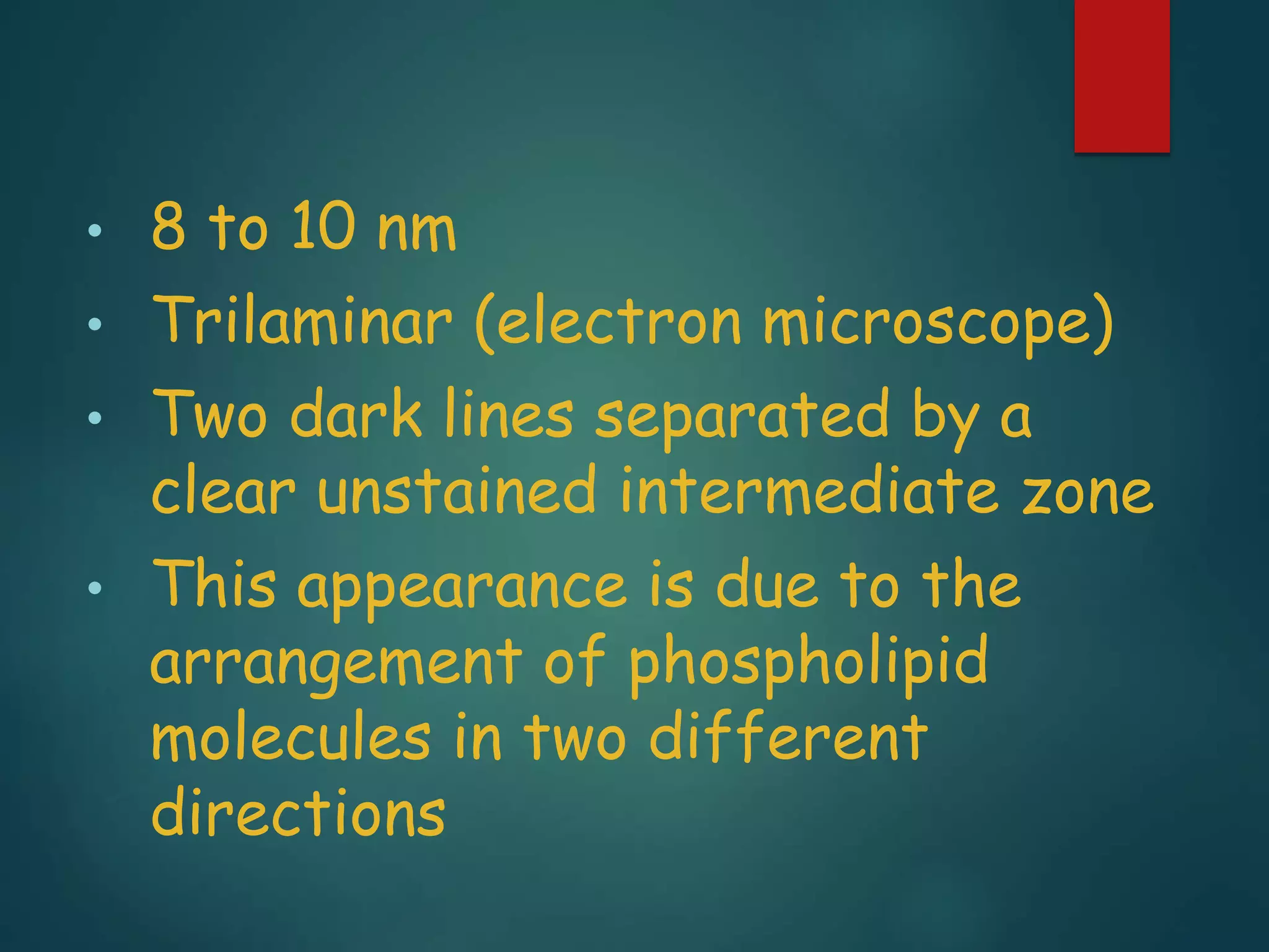 • 8 to 10 nm
• Trilaminar (electron microscope)
• Two dark lines separated by a
clear unstained intermediate zone
• This appearance is due to the
arrangement of phospholipid
molecules in two different
directions
 