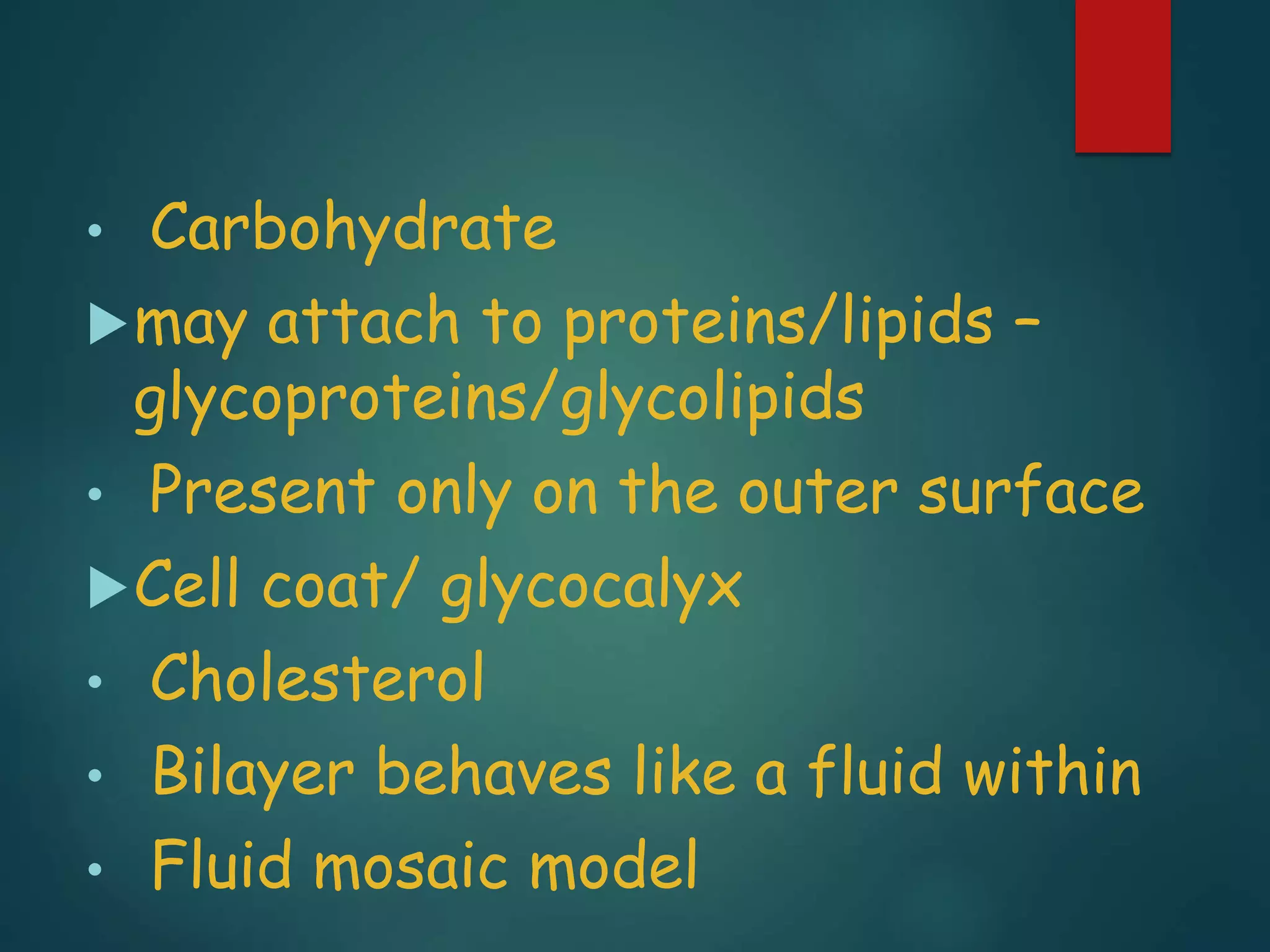 • Carbohydrate
may attach to proteins/lipids –
glycoproteins/glycolipids
• Present only on the outer surface
Cell coat/ glycocalyx
• Cholesterol
• Bilayer behaves like a fluid within
• Fluid mosaic model
 