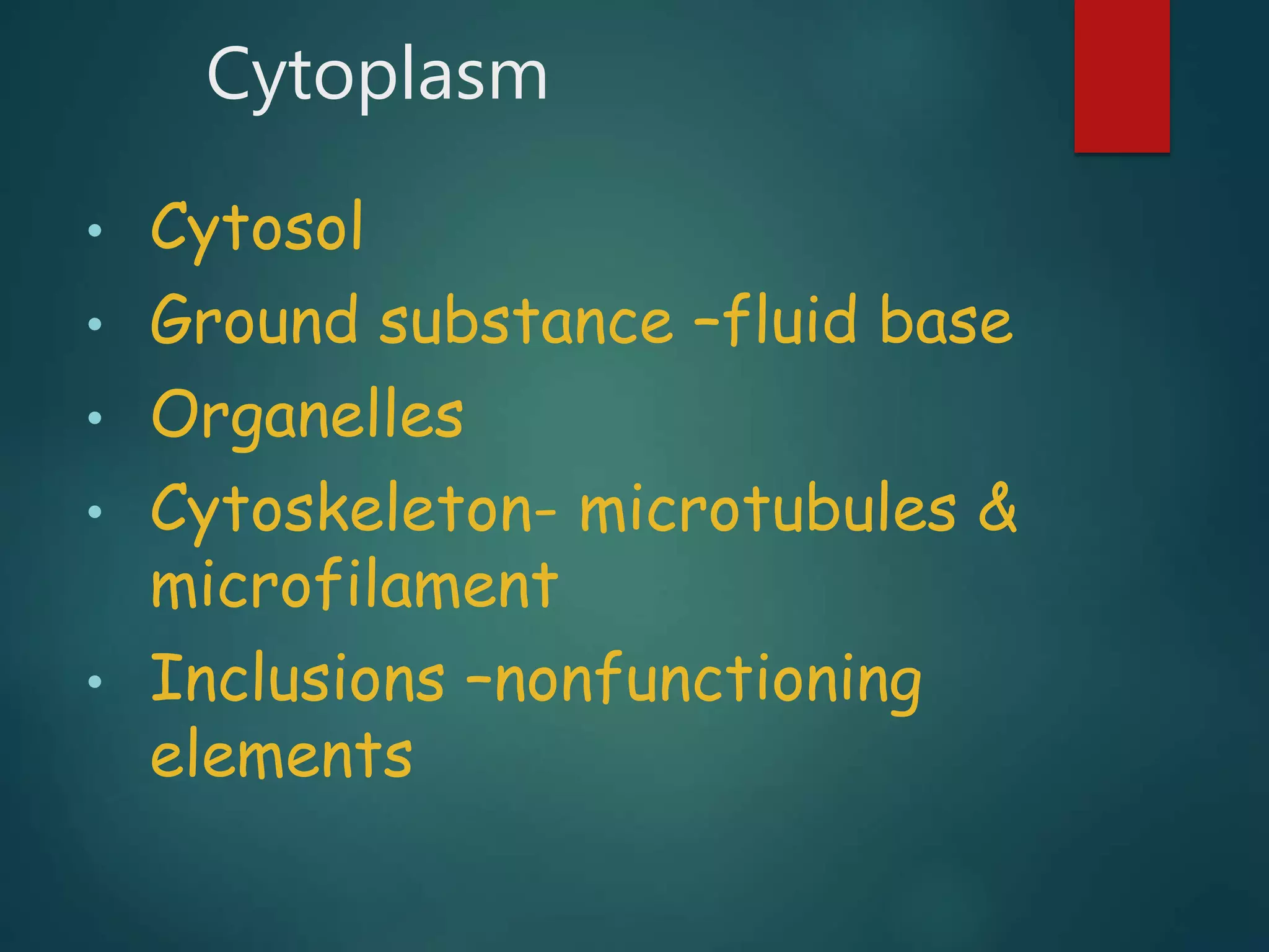 Cytoplasm
• Cytosol
• Ground substance –fluid base
• Organelles
• Cytoskeleton- microtubules &
microfilament
• Inclusions –nonfunctioning
elements
 