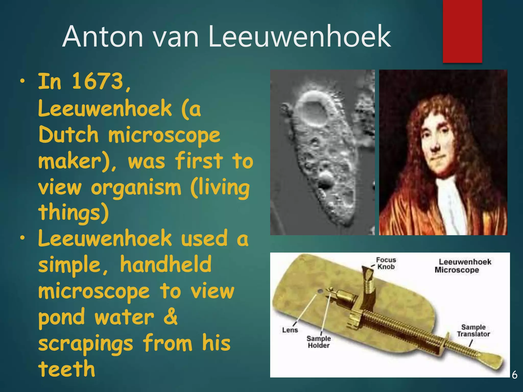 6
Anton van Leeuwenhoek
• In 1673,
Leeuwenhoek (a
Dutch microscope
maker), was first to
view organism (living
things)
• Leeuwenhoek used a
simple, handheld
microscope to view
pond water &
scrapings from his
teeth
 