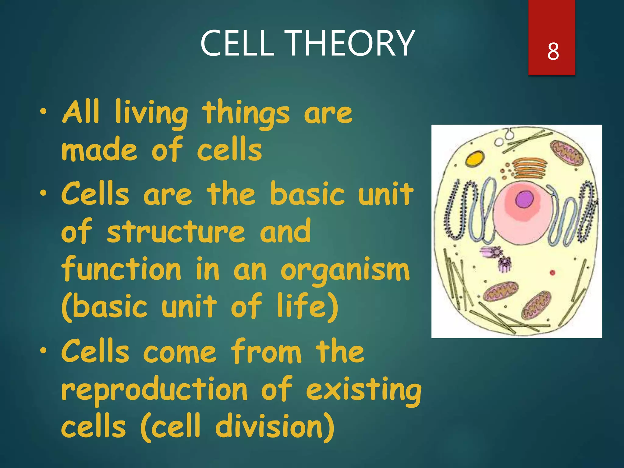 CELL THEORY 8
• All living things are
made of cells
• Cells are the basic unit
of structure and
function in an organism
(basic unit of life)
• Cells come from the
reproduction of existing
cells (cell division)
 