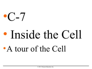 •C-7
• Inside the Cell
• A tour of the Cell
          © 2011 Pearson Education, Inc.
 
