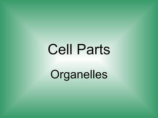 Cell Parts Organelles 