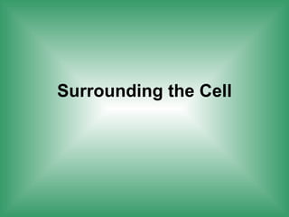 Surrounding the Cell 