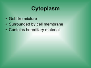 Cytoplasm Gel-like mixture Surrounded by cell membrane Contains hereditary material  