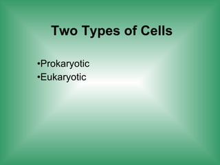 Two Types of Cells Prokaryotic Eukaryotic 