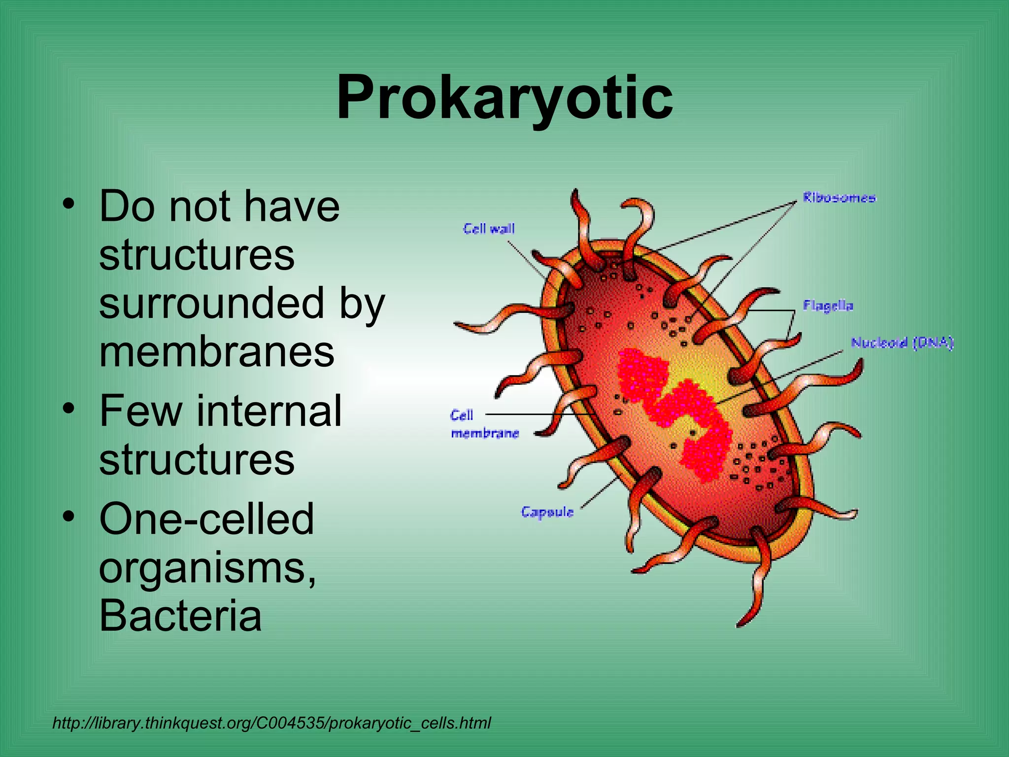 Prokaryotic
 • Do not have
   structures
   surrounded by
   membranes
 • Few internal
   structures
 • One-celled
   organisms,
   Bacteria

http://library.thinkquest.org/C004535/prokaryotic_cells.html
 