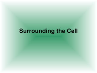 Surrounding the Cell
 