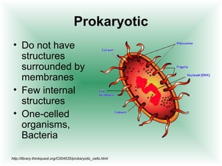 Prokaryotic
 • Do not have
   structures
   surrounded by
   membranes
 • Few internal
   structures
 • One-celled
   organisms,
   Bacteria

http://library.thinkquest.org/C004535/prokaryotic_cells.html
 