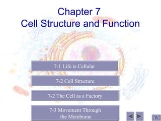 Chapter 7
Cell Structure and Function



        7-1 Life is Cellular

         7-2 Cell Structure

      7-2 The Cell as a Factory

      7-3 Movement Through
          the Membrane
 