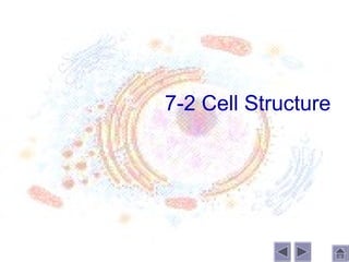 7-2 Cell Structure
 
